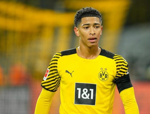 张本智和作 张本智和作